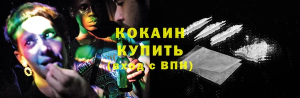 шишки Балахна