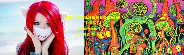 молекула духа Баксан