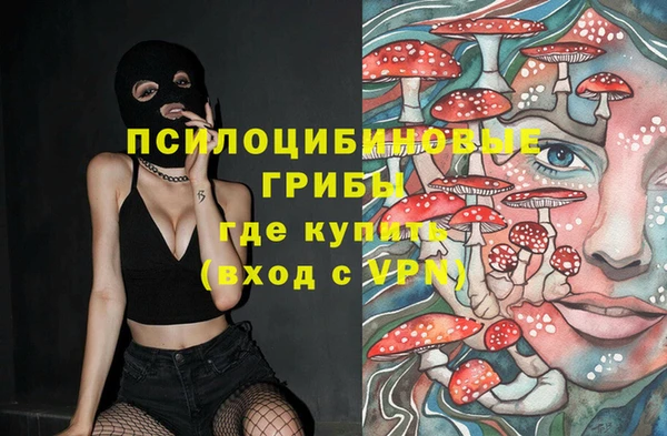 шишки Балахна
